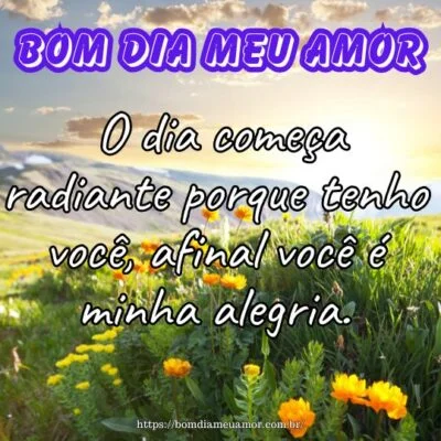 Bom dia meu amor! O dia começa radiante porque tenho você, afinal você é minha alegria. Bom dia meu amor! O dia começa radiante porque tenho você, afinal você é minha alegria.
