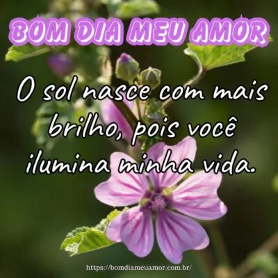 Bom dia meu amor! O sol nasce com mais brilho, pois você ilumina minha vida. Bom dia meu amor! O sol nasce com mais brilho, pois você ilumina minha vida.