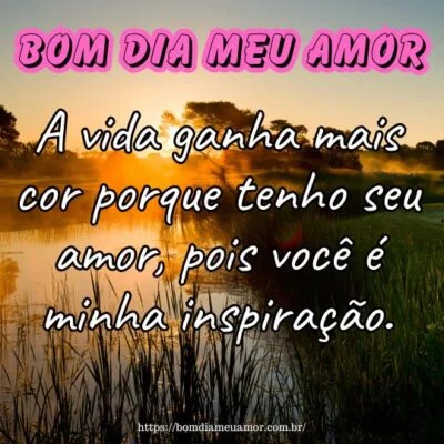Bom dia amor! A vida ganha mais cor porque tenho seu amor, pois você é minha inspiração. Bom dia amor! A vida ganha mais cor porque tenho seu amor, pois você é minha inspiração.