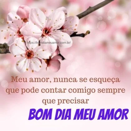 Meu amor, nunca se esqueça que pode contar comigo sempre que precisar. Bom dia! Meu amor, nunca se esqueça que pode contar comigo sempre que precisar. Bom dia!