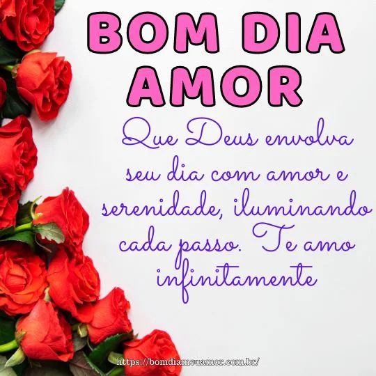 Bom dia meu amor que Deus abençoe seu dia