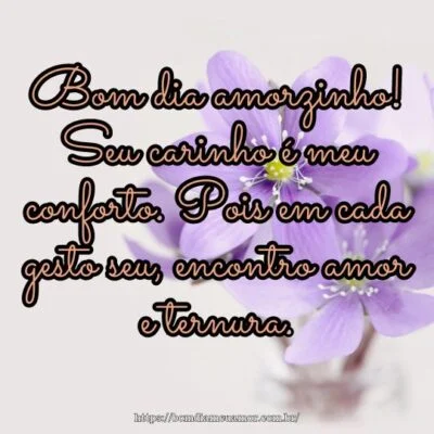 Bom dia amorzinho! Seu carinho é meu conforto
