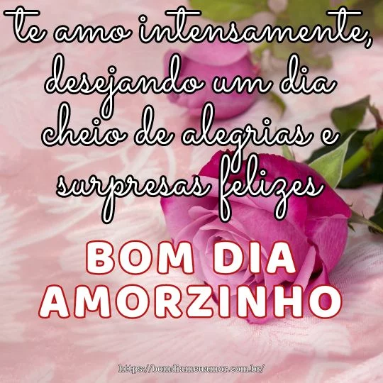 Bom dia meu amorzinho te amo