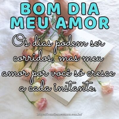 Bom dia amor da minha vida! Os dias podem ser corridos, mas meu amor por você só cresce a cada instante. Bom dia amor da minha vida! Os dias podem ser corridos, mas meu amor por você só cresce a cada instante.