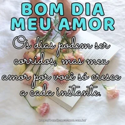 Bom dia amor da minha vida! Os dias podem ser corridos, mas meu amor por você só cresce a cada instante. Bom dia amor da minha vida! Os dias podem ser corridos, mas meu amor por você só cresce a cada instante.