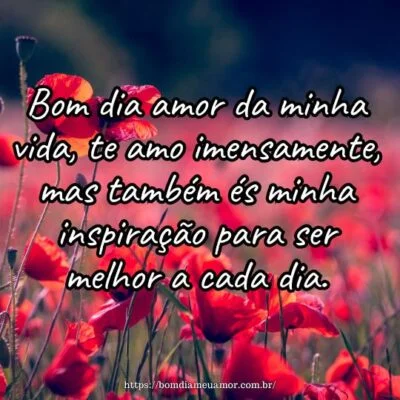 Bom dia amor da minha vida, te amo imensamente, mas também és minha inspiração para ser melhor a cada dia. Bom dia amor da minha vida, te amo imensamente, mas também és minha inspiração para ser melhor a cada dia.