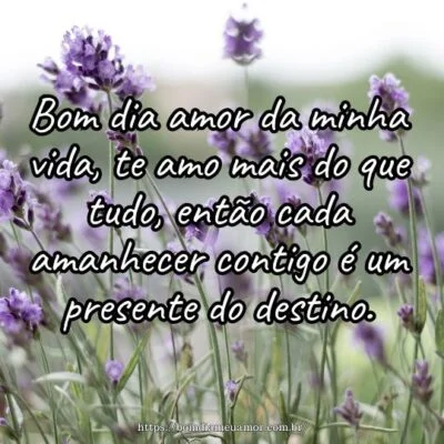 Bom dia amor da minha vida, te amo mais do que tudo, então cada amanhecer contigo é um presente do destino. Bom dia amor da minha vida, te amo mais do que tudo, então cada amanhecer contigo é um presente do destino.