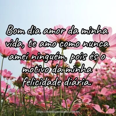 Bom dia amor da minha vida, te amo como nunca amei ninguém, pois és o motivo da minha felicidade diária. Bom dia amor da minha vida, te amo como nunca amei ninguém, pois és o motivo da minha felicidade diária.