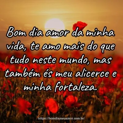 Bom dia amor da minha vida, te amo mais do que tudo neste mundo, mas também és meu alicerce e minha fortaleza. Bom dia amor da minha vida, te amo mais do que tudo neste mundo, mas também és meu alicerce e minha fortaleza.