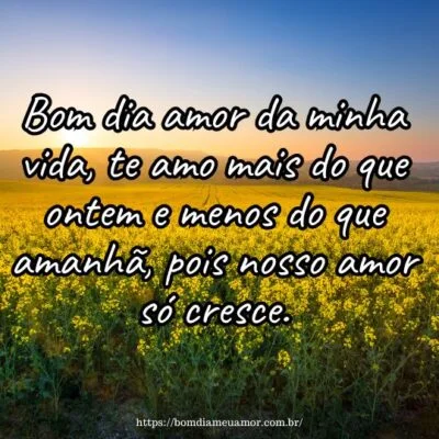 Bom dia amor da minha vida, te amo mais do que ontem e menos do que amanhã, pois nosso amor só cresce. Bom dia amor da minha vida, te amo mais do que ontem e menos do que amanhã, pois nosso amor só cresce.