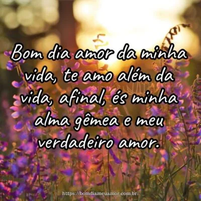 Bom dia amor da minha vida, te amo além da vida, afinal, és minha alma gêmea e meu verdadeiro amor. Bom dia amor da minha vida, te amo além da vida, afinal, és minha alma gêmea e meu verdadeiro amor.