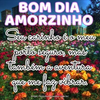 Bom dia amorzinho da minha vida! Seu carinho é o meu porto seguro, mas também a aventura que me faz vibrar. Bom dia amorzinho da minha vida! Seu carinho é o meu porto seguro, mas também a aventura que me faz vibrar.