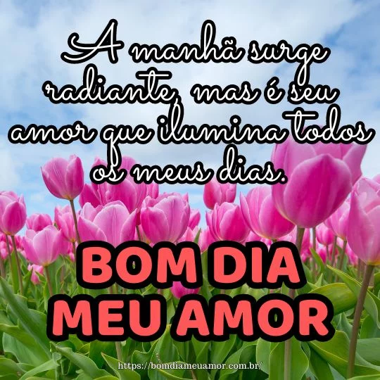 Frases amorosas de bom dia
