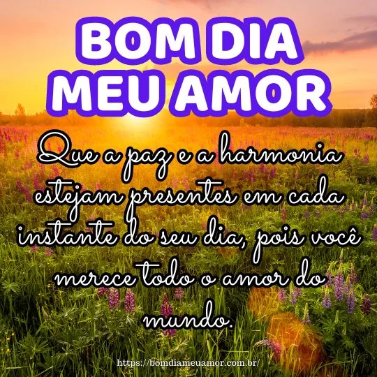 Mensagem de bom dia para o meu amor