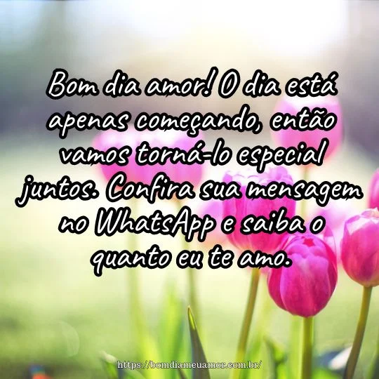Mensagens de bom dia amor para whatsapp