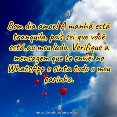 Bom dia amor! A manhã está tranquila, pois sei que você está ao meu lado. Verifique a mensagem que te enviei no WhatsApp e sinta todo o meu carinho.
