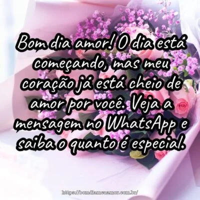 Bom dia amor! O dia está começando, mas meu coração já está cheio de amor por você. Veja a mensagem no WhatsApp e saiba o quanto é especial.