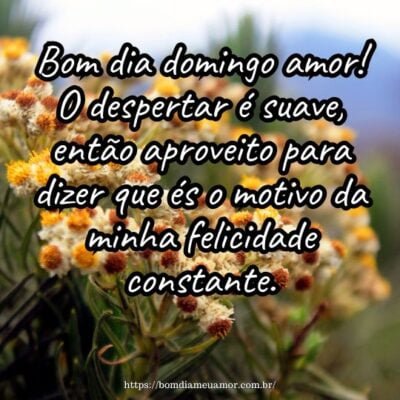 Bom dia domingo amor! O despertar é suave, então aproveito para dizer que és o motivo da minha felicidade constante. Bom dia domingo amor! O despertar é suave, então aproveito para dizer que és o motivo da minha felicidade constante.