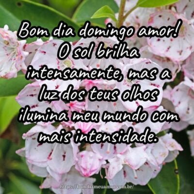 Bom dia domingo amor! O sol brilha intensamente, mas a luz dos teus olhos ilumina meu mundo com mais intensidade. Bom dia domingo amor! O sol brilha intensamente, mas a luz dos teus olhos ilumina meu mundo com mais intensidade.