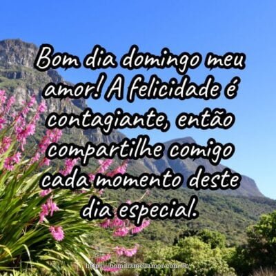 Bom dia domingo meu amor! A felicidade é contagiante, então compartilhe comigo cada momento deste dia especial. Bom dia domingo meu amor! A felicidade é contagiante, então compartilhe comigo cada momento deste dia especial.