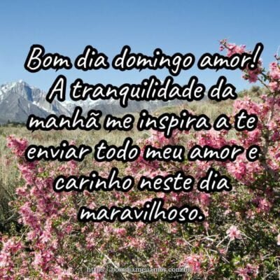 Bom dia domingo amor! A tranquilidade da manhã me inspira a te enviar todo meu amor e carinho neste dia maravilhoso. Bom dia domingo amor! A tranquilidade da manhã me inspira a te enviar todo meu amor e carinho neste dia maravilhoso.
