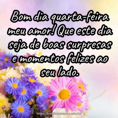 Bom dia quarta-feira meu amor! Que este dia seja de boas surpresas e momentos felizes ao seu lado.