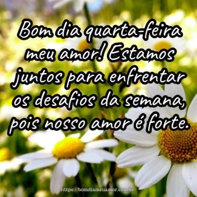 Bom dia quarta-feira meu amor! Estamos juntos para enfrentar os desafios da semana, pois nosso amor é forte.