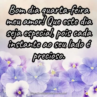 Bom dia quarta-feira meu amor! Que este dia seja especial, pois cada instante ao seu lado é precioso.