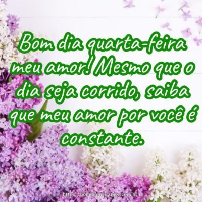 Bom dia quarta-feira meu amor! Mesmo que o dia seja corrido, saiba que meu amor por você é constante. Bom dia quarta-feira meu amor! Mesmo que o dia seja corrido, saiba que meu amor por você é constante.