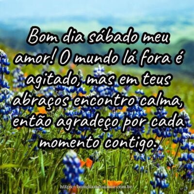 Bom dia sábado meu amor! O mundo lá fora é agitado, mas em teus abraços encontro calma, então agradeço por cada momento contigo. Bom dia sábado meu amor! O mundo lá fora é agitado, mas em teus abraços encontro calma, então agradeço por cada momento contigo.