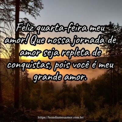 Feliz quarta-feira meu amor! Que nossa jornada de amor seja repleta de conquistas, pois você é meu grande amor. Feliz quarta-feira meu amor! Que nossa jornada de amor seja repleta de conquistas, pois você é meu grande amor.