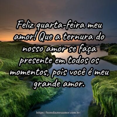 Feliz quarta-feira meu amor! Que a ternura do nosso amor se faça presente em todos os momentos, pois você é meu grande amor. Feliz quarta-feira meu amor! Que a ternura do nosso amor se faça presente em todos os momentos, pois você é meu grande amor.