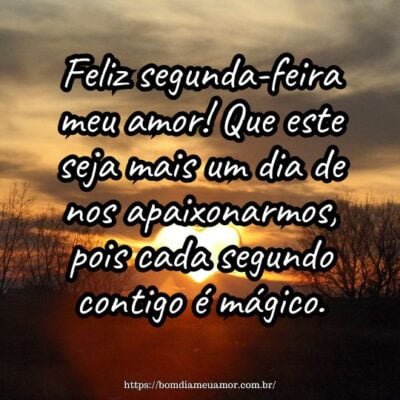 Feliz segunda-feira meu amor! Que este seja mais um dia de nos apaixonarmos, pois cada segundo contigo é mágico.