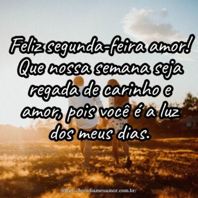 Feliz segunda-feira amor! Que nossa semana seja regada de carinho e amor, pois você é a luz dos meus dias.