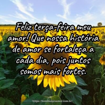 Feliz terça-feira meu amor! Que nossa história de amor se fortaleça a cada dia, pois juntos somos mais fortes. Feliz terça-feira meu amor! Que nossa história de amor se fortaleça a cada dia, pois juntos somos mais fortes.