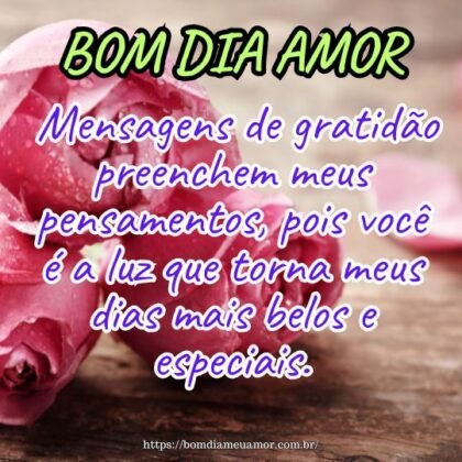 Bom dia amor! Mensagens de gratidão preenchem meus pensamentos, pois você é a luz que torna meus dias mais belos e especiais. Bom dia amor! Mensagens de gratidão preenchem meus pensamentos, pois você é a luz que torna meus dias mais belos e especiais.