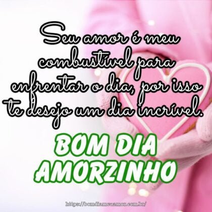 Bom dia amorzinho! Seu amor é meu combustível para enfrentar o dia, por isso te desejo um dia incrível. Bom dia amorzinho! Seu amor é meu combustível para enfrentar o dia, por isso te desejo um dia incrível.