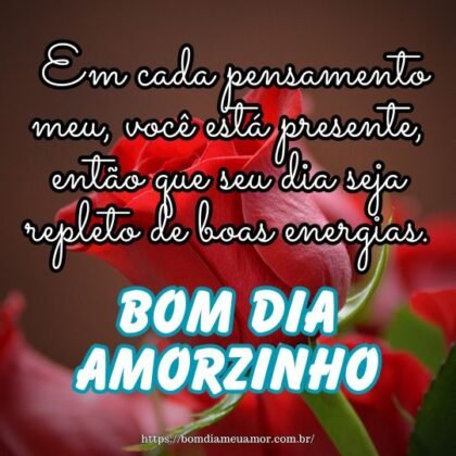 Bom dia amorzinho! Em cada pensamento meu, você está presente, então que seu dia seja repleto de boas energias. Bom dia amorzinho! Em cada pensamento meu, você está presente, então que seu dia seja repleto de boas energias.