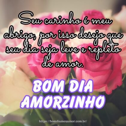Bom dia amorzinho! Seu carinho é meu abrigo, por isso desejo que seu dia seja leve e repleto de amor. Bom dia amorzinho! Seu carinho é meu abrigo, por isso desejo que seu dia seja leve e repleto de amor.