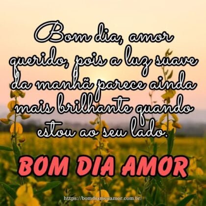 Bom dia, amor querido, pois a luz suave da manhã parece ainda mais brilhante quando estou ao seu lado. Bom dia, amor querido, pois a luz suave da manhã parece ainda mais brilhante quando estou ao seu lado.