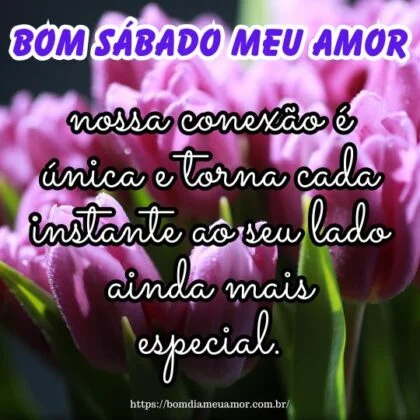 Bom sábado meu amor, pois nossa conexão é única e torna cada instante ao seu lado ainda mais especial. Bom sábado meu amor, pois nossa conexão é única e torna cada instante ao seu lado ainda mais especial.