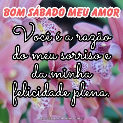Bom sábado meu amor, pois você é a razão do meu sorriso e da minha felicidade plena. Bom sábado meu amor, pois você é a razão do meu sorriso e da minha felicidade plena.