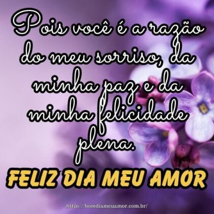 Feliz dia, meu amor! Pois você é a razão do meu sorriso, da minha paz e da minha felicidade plena. Feliz dia, meu amor! Pois você é a razão do meu sorriso, da minha paz e da minha felicidade plena.