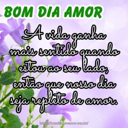 Bom dia meu amor! A vida ganha mais sentido quando estou ao seu lado, então que nosso dia seja repleto de amor. Bom dia meu amor! A vida ganha mais sentido quando estou ao seu lado, então que nosso dia seja repleto de amor.