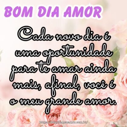 Bom dia meu amor! Cada novo dia é uma oportunidade para te amar ainda mais, afinal, você é o meu grande amor. Bom dia meu amor! Cada novo dia é uma oportunidade para te amar ainda mais, afinal, você é o meu grande amor.