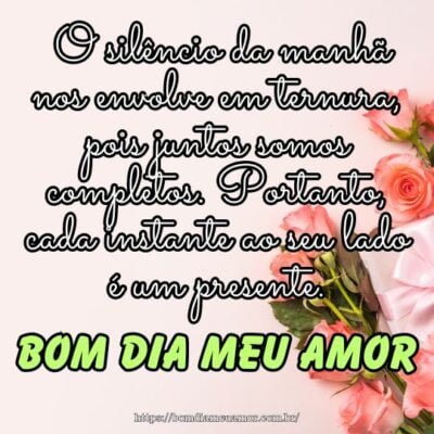 Bom dia meu amor! O silêncio da manhã nos envolve em ternura, pois juntos somos completos. Portanto, cada instante ao seu lado é um presente. Bom dia meu amor! O silêncio da manhã nos envolve em ternura, pois juntos somos completos. Portanto, cada instante ao seu lado é um presente.