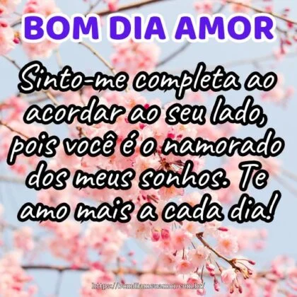 Bom dia amor! Sinto-me completa ao acordar ao seu lado, pois você é o namorado dos meus sonhos. Te amo mais a cada dia!