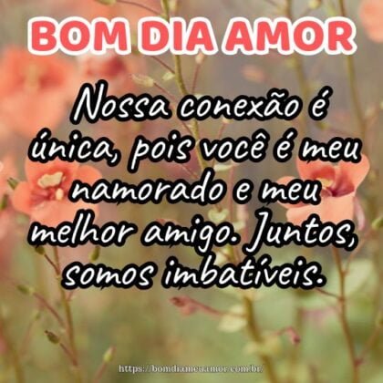 Bom dia meu amor! Nossa conexão é única, pois você é meu namorado e meu melhor amigo. Juntos, somos imbatíveis. Bom dia meu amor! Nossa conexão é única, pois você é meu namorado e meu melhor amigo. Juntos, somos imbatíveis.