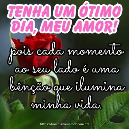 Tenha um ótimo dia, meu amor, pois cada momento ao seu lado é uma bênção que ilumina minha vida. Tenha um ótimo dia, meu amor, pois cada momento ao seu lado é uma bênção que ilumina minha vida.