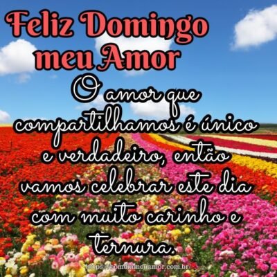 Feliz domingo meu amor! O amor que compartilhamos é único e verdadeiro, então vamos celebrar este dia com muito carinho e ternura. Feliz domingo meu amor! O amor que compartilhamos é único e verdadeiro, então vamos celebrar este dia com muito carinho e ternura.
